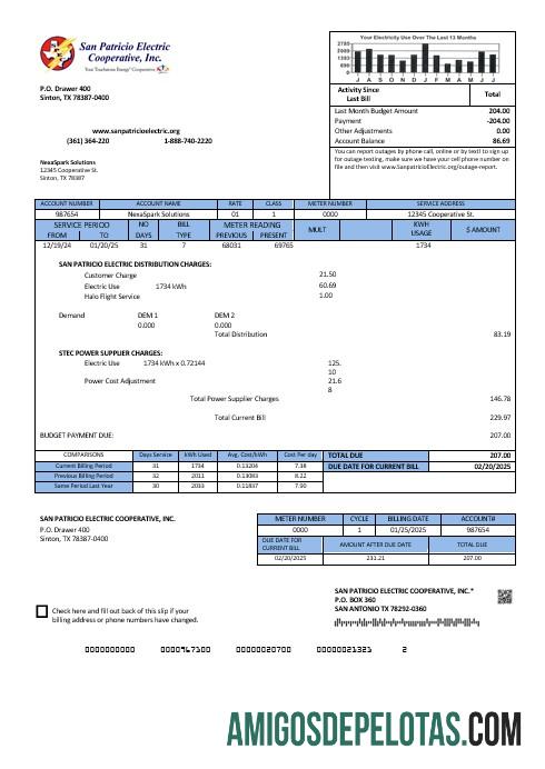 Para baixar modelo de conta de serviços públicos corporativos dos EUA Texas San Patricio Electric em formatos Word e PDF